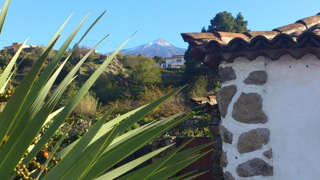 Finca Los Ciruelos Casas Rurales إيكود ذي لوس فينوس المظهر الخارجي الصورة