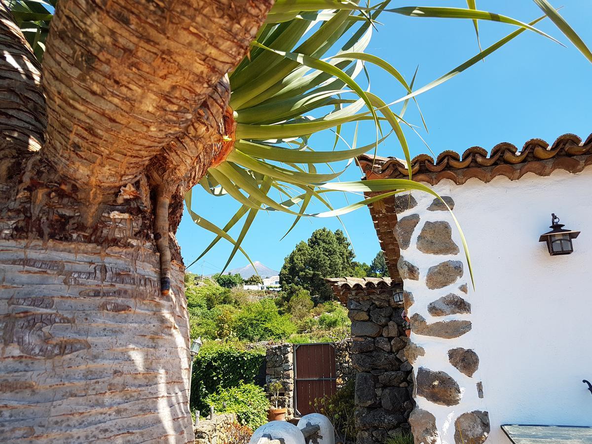 Finca Los Ciruelos Casas Rurales إيكود ذي لوس فينوس المظهر الخارجي الصورة